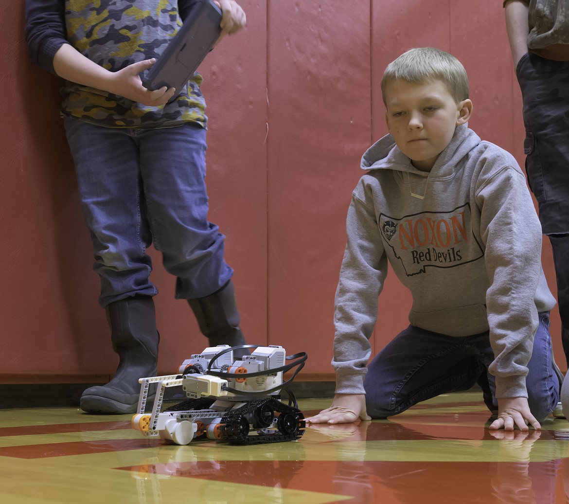 Abel Jensen controls his robot at the Noxon science fair. (Tracy Scott/Valley Press)
