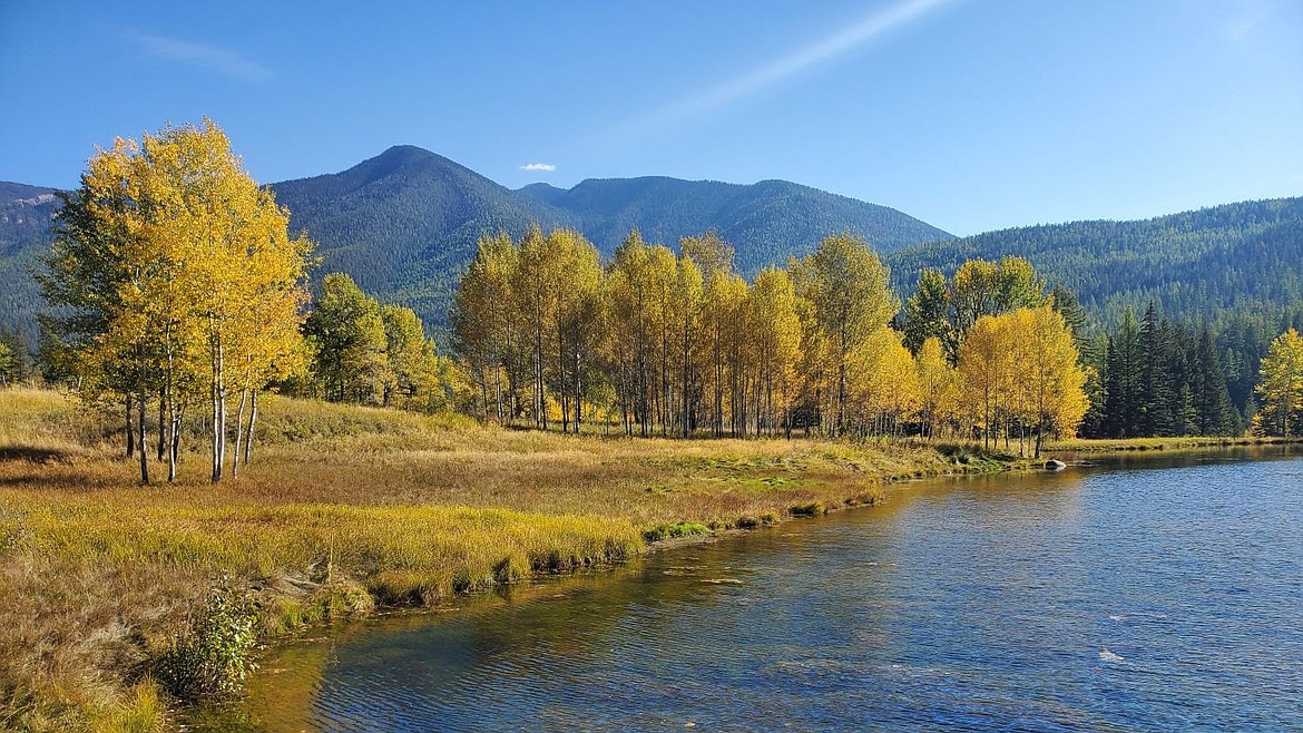 The Levines land is seen with Aspen in fall color lining a pond at the Grave Creek project site, with the Whitefish Range rising to the east. (Courtesy photo)