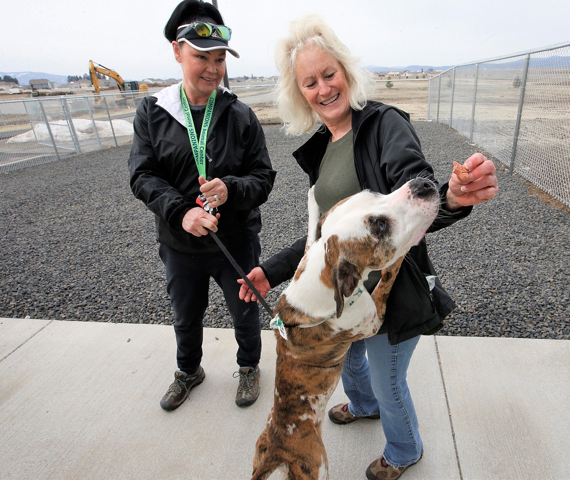 Volunteers Jill Minzghor, left, and Cathy Moehling give Cooper a treat outside the new home of the Kootena Humane Society on Monday.