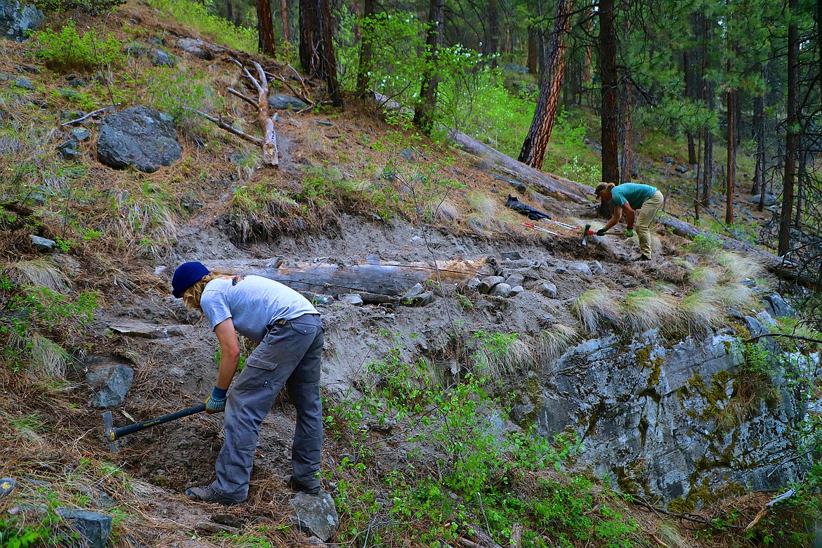 Northwest Montana Climbing Coalition volunteers do trail work. (Photo provided)
