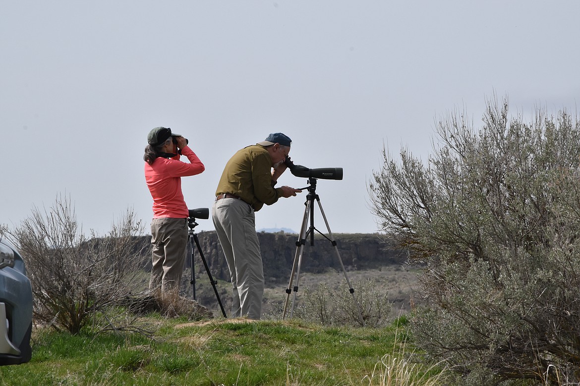 Jay and Janice Berube, Kettle Falls, scan the sky for birds during the 2022 Othello Sandhill Crane Festival.