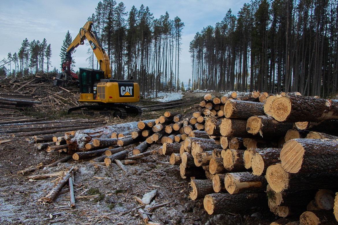 A landing at a logging operation is seen near Coram on March 9, 2023. (Kate Heston/Daily Inter Lake)