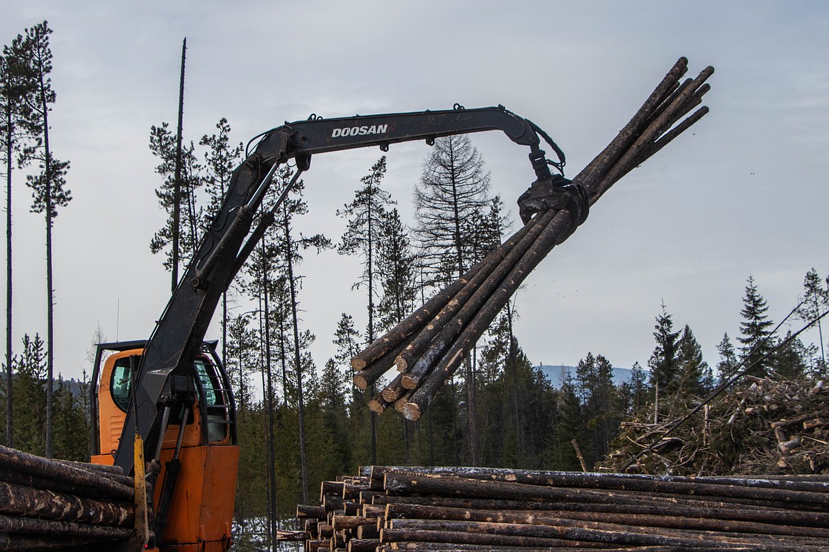 Foresters work to move timber onto the trucks at the Lake Five operation on March 9, 2023. (Kate Heston/Daily Inter Lake)
