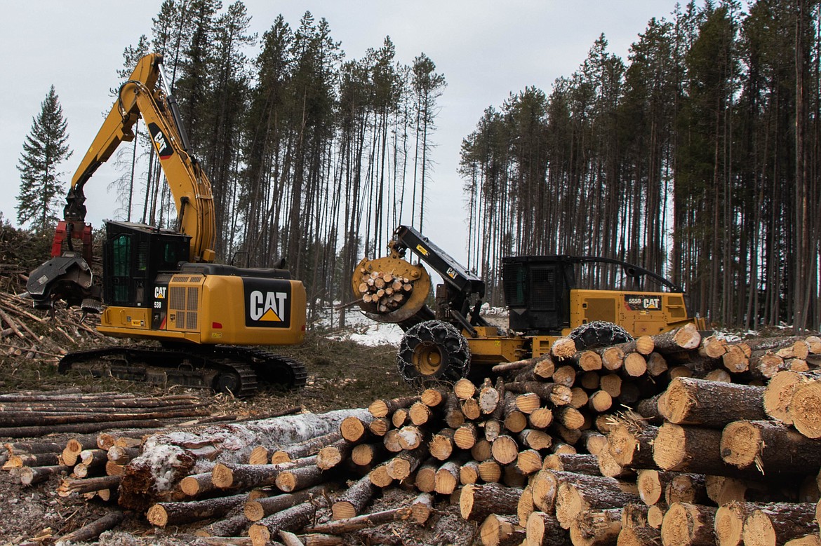 Operations are underway at the Lake Five logging operation's landing on March 9, 2023. (Kate Heston/Daily Inter Lake)
