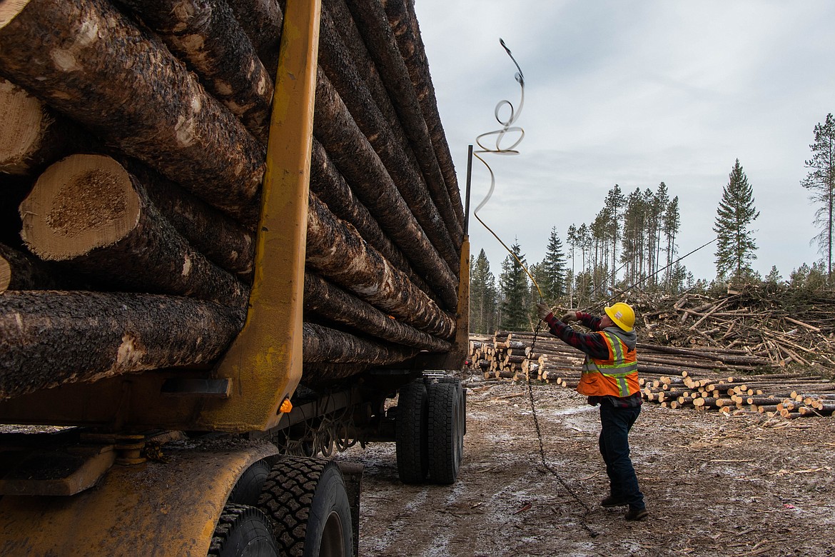 Rocky Keller, an independent contractor working on the Lake Five logging operation, secures his load before leaving the landing on March 9, 2023. (Kate Heston/Daily Inter Lake)