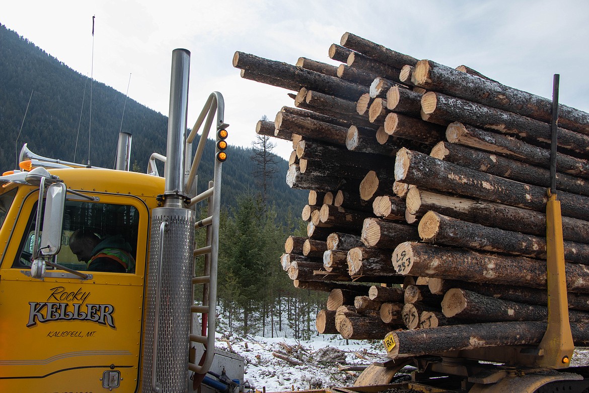 Rocky Keller, an independent contractor working under Weyerhaeuser on the Lake Five project, is seen in his truck before hauling a load of timber on March 9, 2023. (Kate Heston/Daily Inter Lake)