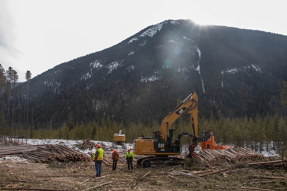 A logging operation near Coram is seen on March 9, 2023. (Kate Heston/Daily Inter Lake)