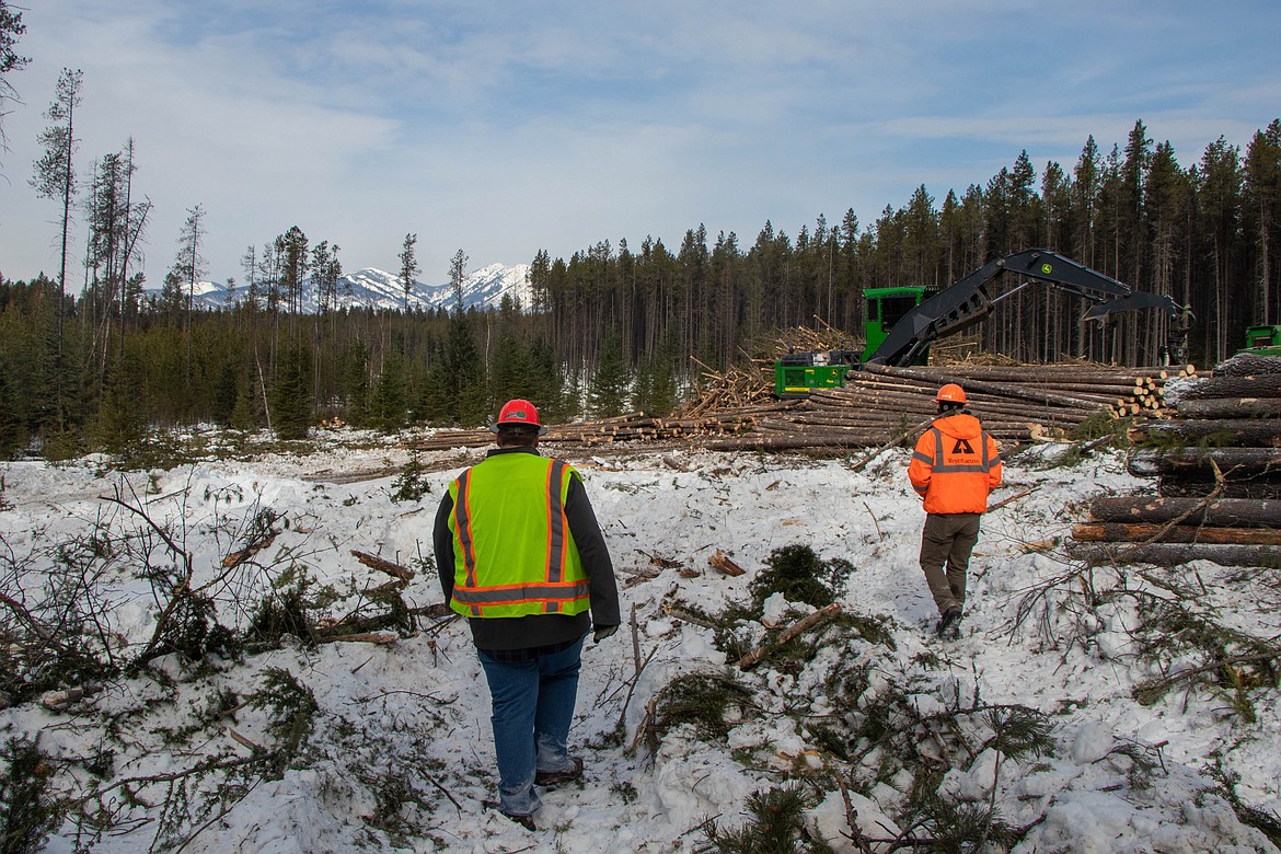 Tim McEntire, left, with Montana Logging Association, and Zachary Miller, right, with Weyerhaeuser, walk towards a landing on March 9, 2023. (Kate Heston/Daily Inter Lake)
