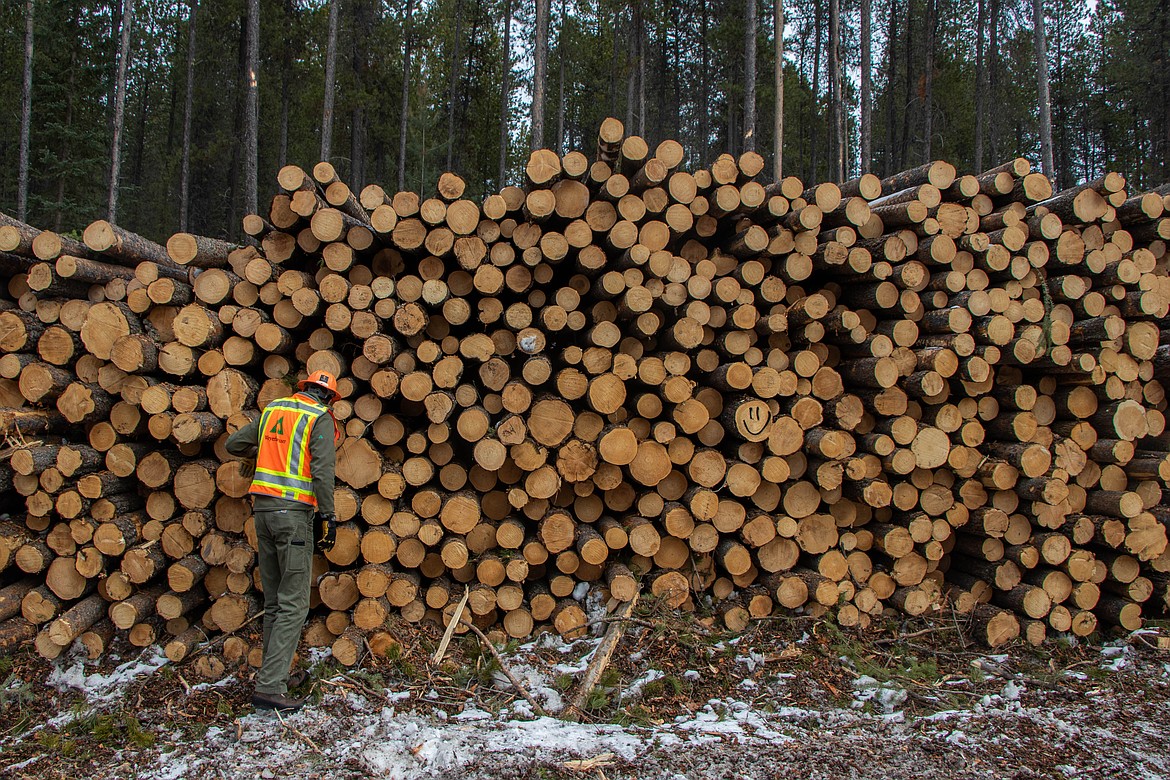 Tye Sundt, with Weyerhaeuser, stands alongside a stack of harvested lumber, one of which has a smiley face spraypainted on it. (Kate Heston/Daily Inter Lake)