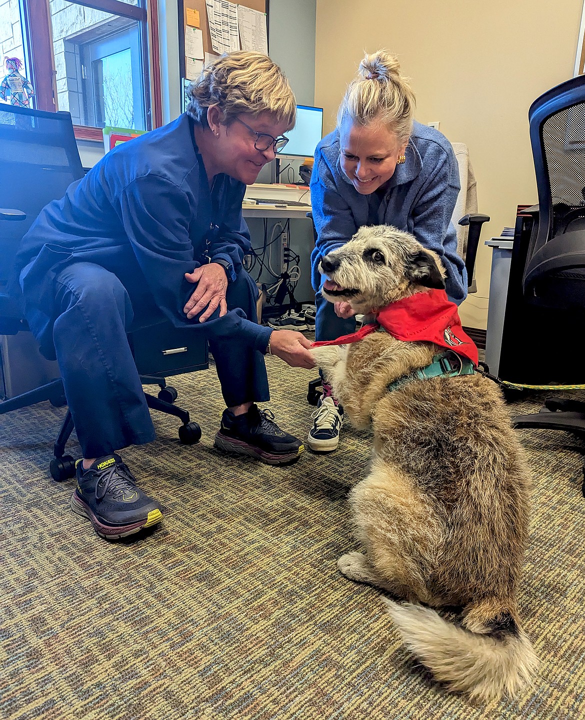 Logan Health — Whitefish's Sue Connors (RN) and Anna Iwersen, (orthopedic advanced practice provider) receive a visit from Shelby on her rounds on March 29. (Provided photo)