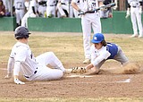 Spring Sports Roundup