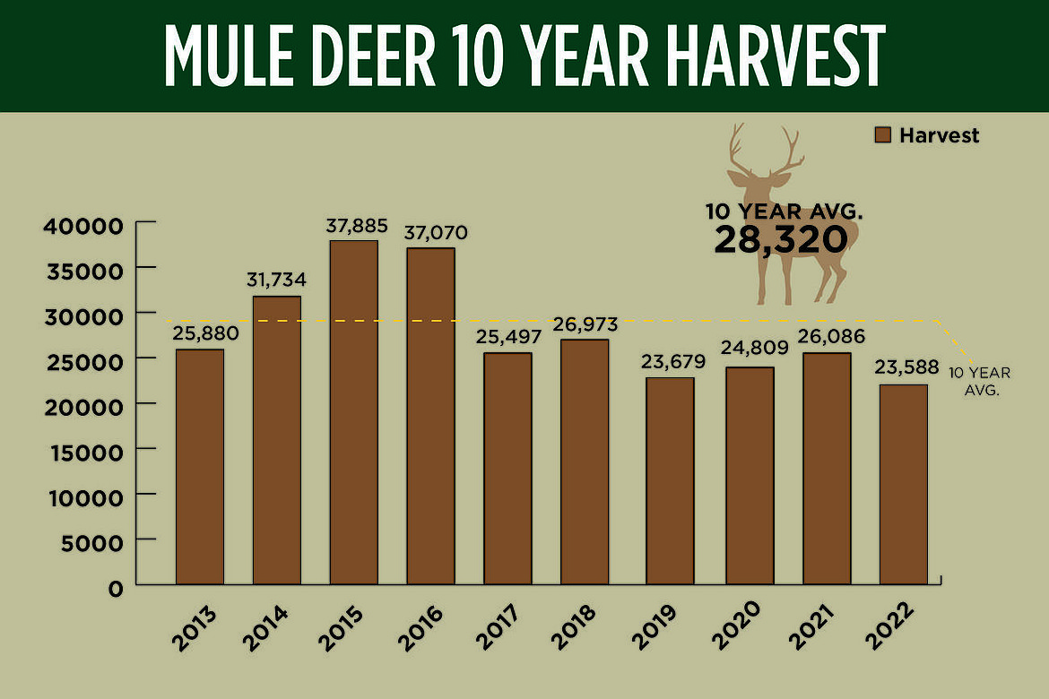 Mule Deer hunts harvest numbers over time since 2013. The yellow line indicates the 10 year average.