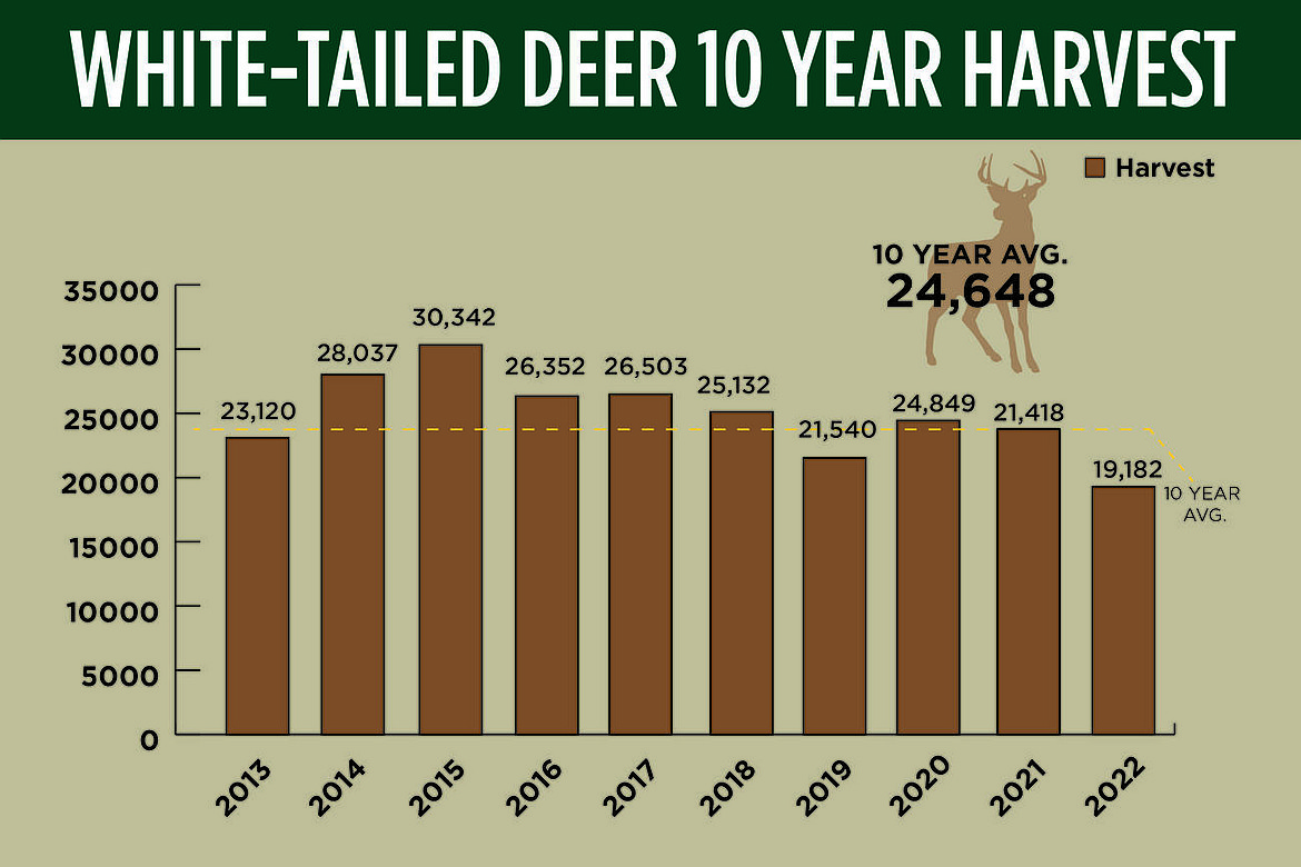 White-tailed deer hunts harvest numbers over time since 2013. The yellow line indicates the 10 year average.