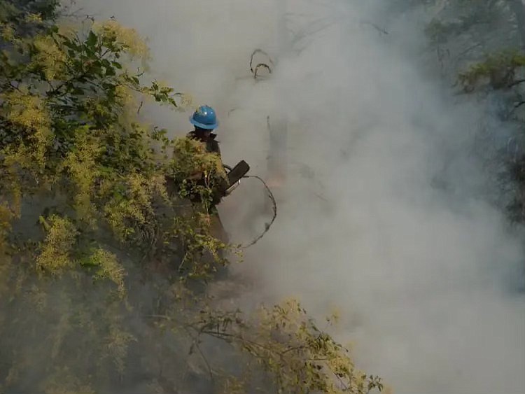 Wildland firefighters are seen in the smoke. (Photo courtesy of Lucas Stacy)