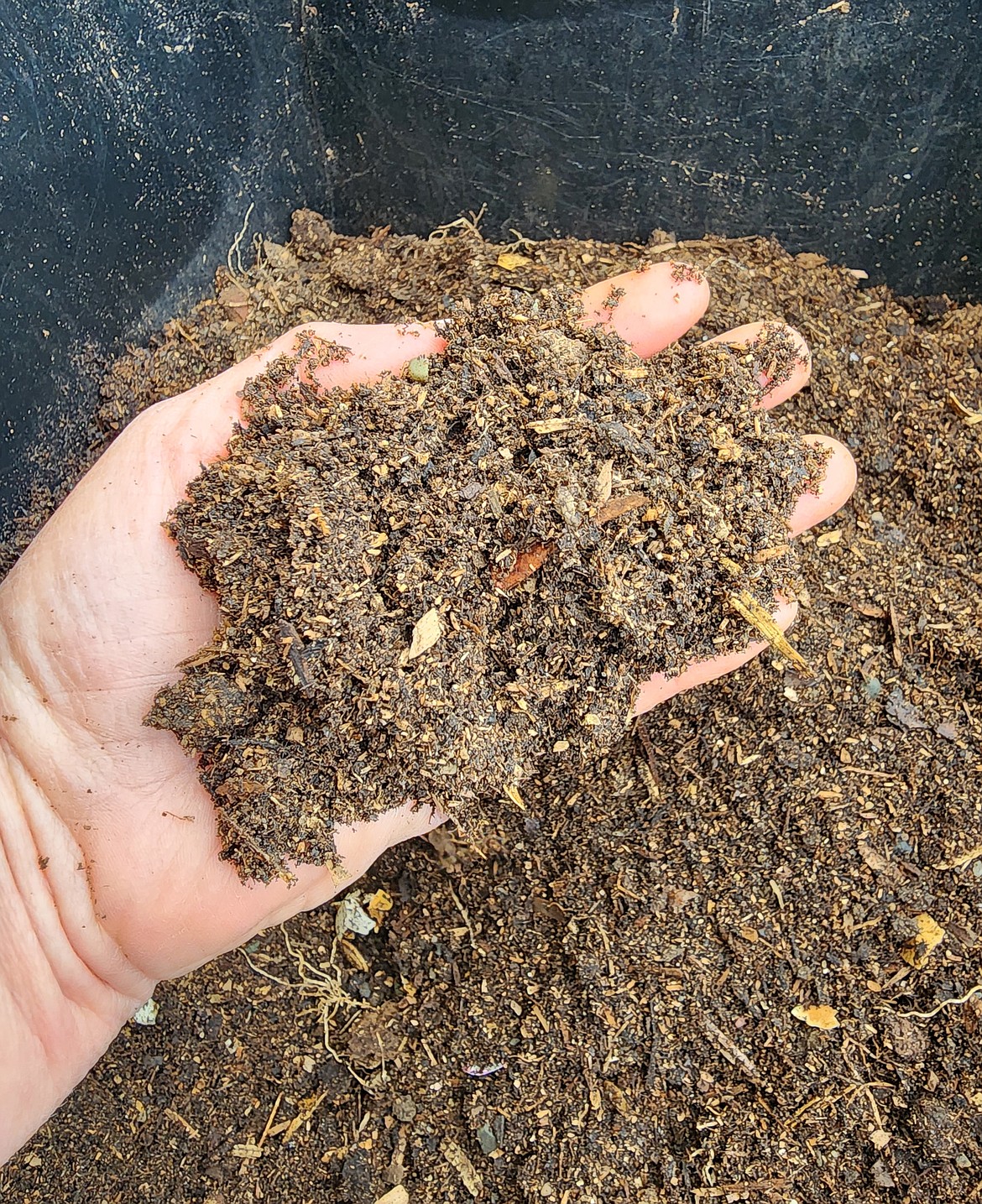 Compost is rich in organic matter that feeds the organisms in your soil.This in turn, feeds your plants. Spread a 1- to 2-inch layer of quality compost on your garden in the spring.