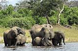 In Africa's Okavango, oil drilling disrupts locals, nature