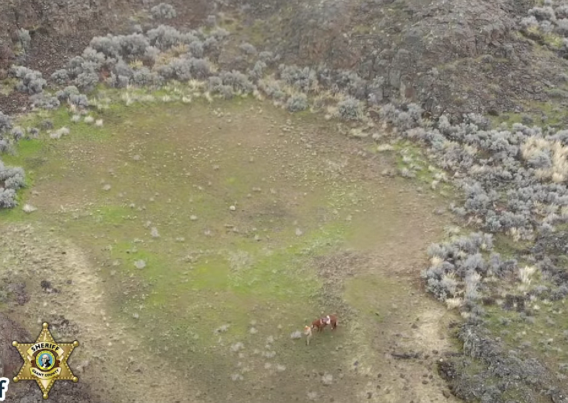 A still from a video taken by a Grant County Sheriff’s Office drone of a GCSO deputy leading a lost horse near the Bishop Recreation Area on Thursday afternoon. The horse had gone missing the previous day, according to the GCSO, and deputies were called to help find the animal.