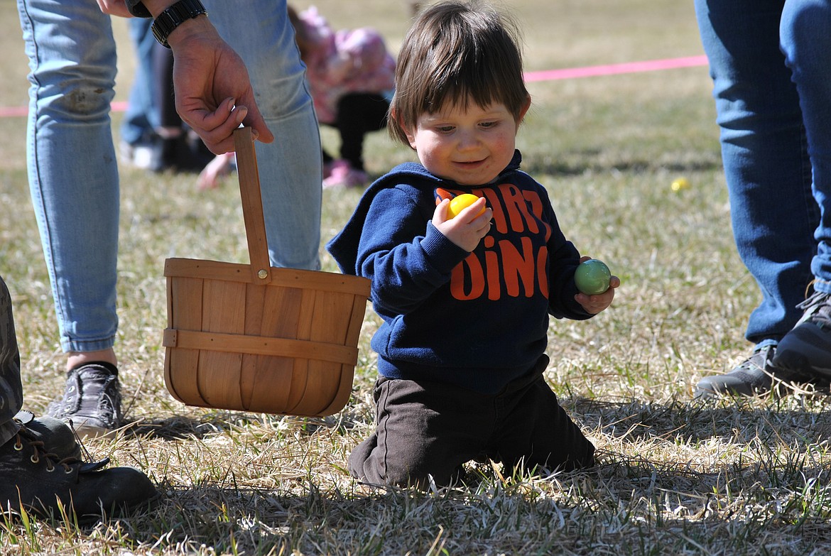 One of the littlest egg hunters in the 0-3 year old category at the St. Regis Park stops to admire his bright yellow egg. (Amy Quinlivan/Mineral Independent)