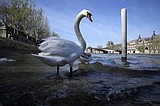 Fancy a dip? An Olympic reboot for Paris' toxic River Seine