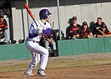 Polson Baseball bats down Frenchtown, Troy