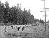 Yesterdays: 1953, first Lions Club Easter Egg Hunt