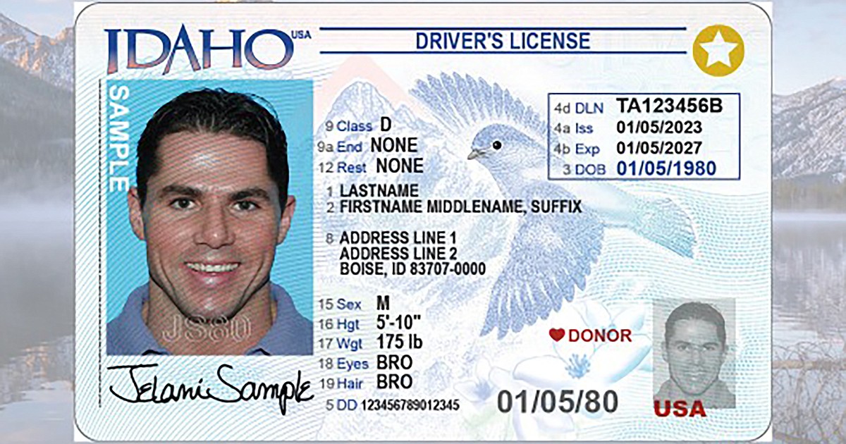 New Driver License & ID Card