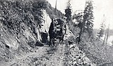 All roads, and before that trails, lead to Bigfork