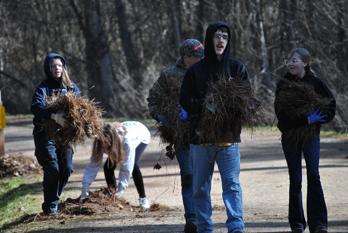 Students work near the entrance of the St. Regis Park carrying pine needles to be hauled off. Following the work efforts the school held a barbecue for the staff and students for a job well done. (Amy Quinlivan/Mineral Independent)