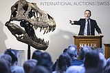 T. rex skeleton expected to fetch millions at Zurich auction