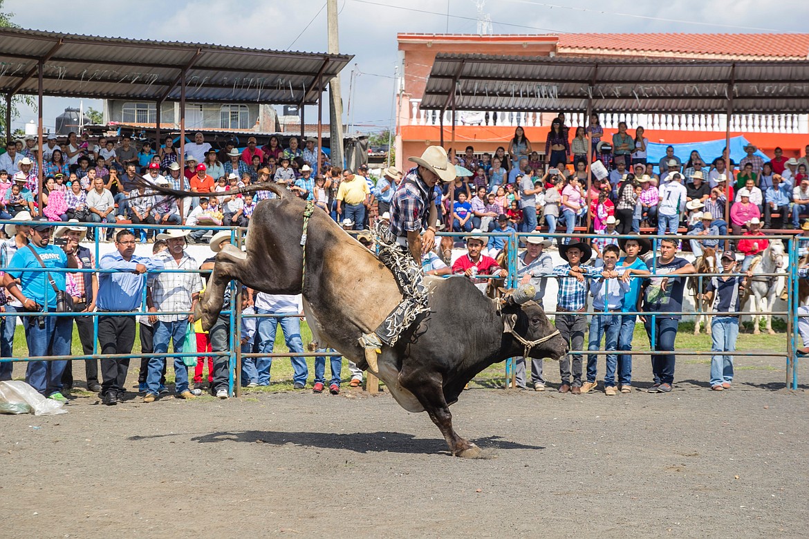 Bull riders from around the region will gather in the Tri-Cities in September for competition.