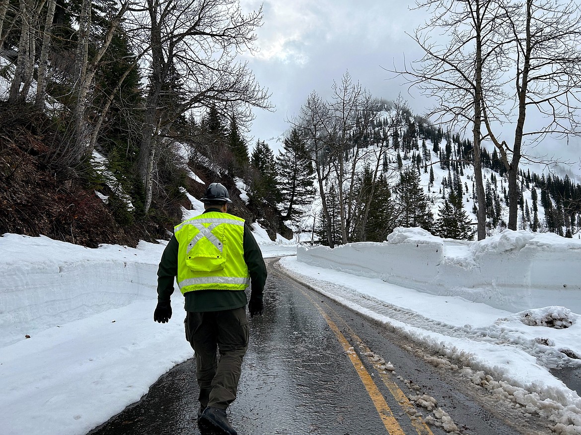 An official with Glacier National Park walks along Going-to-the-Sun Road near Haystack Creek on Monday, April 24, 2023. (Taylor Inman/Daily Inter Lake)