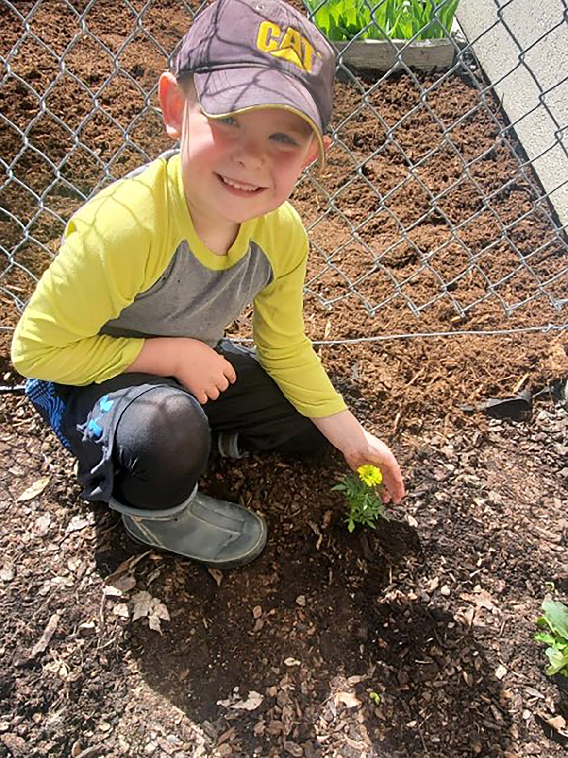 An Idaho Hill Elementary first grader helps plant flowers at an Earth Day event last week.