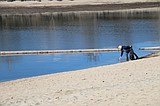 ICL invites community to Earth Day cleanup