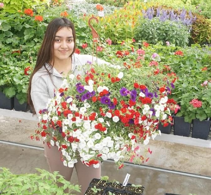 Karla Ventura displays a hanging basket that will be available at the Quincy High School FFA plant sale.