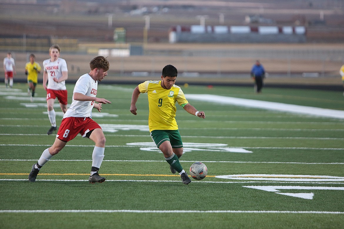 Knights joust Jacks  Columbia Basin Herald