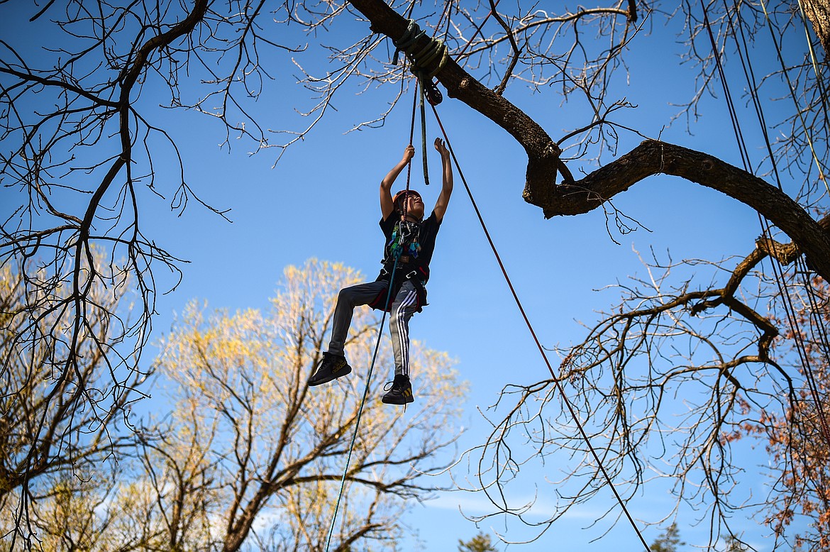 David Wilson, a third-grader in Lauren Lenzner and Desi Palmer's class at Edgerton Elementary, reaches to touch a tree branch while being hosted into the canopy of a black walnut tree at the Trees of Life station at the Arbor Day celebration in Woodland Park on Friday, April 28. (Casey Kreider/Daily Inter Lake)