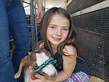 208 Qualifier, a livestock show for Kootenai County kids