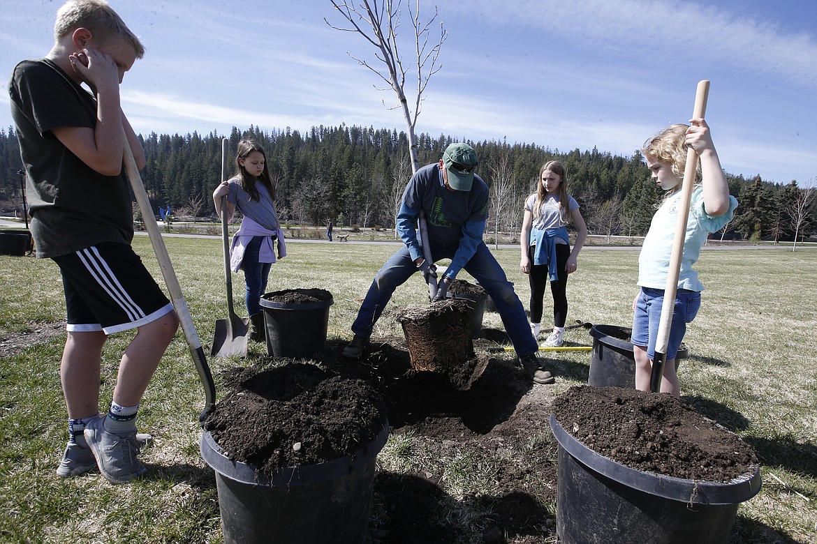 Ramsey Elementary School students watch Bruce Martinek lower a tulip tree into place at Atlas Waterfront Park on Friday. From left, Cameron Hoy, Kaydence Kalanick, Maddy Burton and Elliot Anderson.