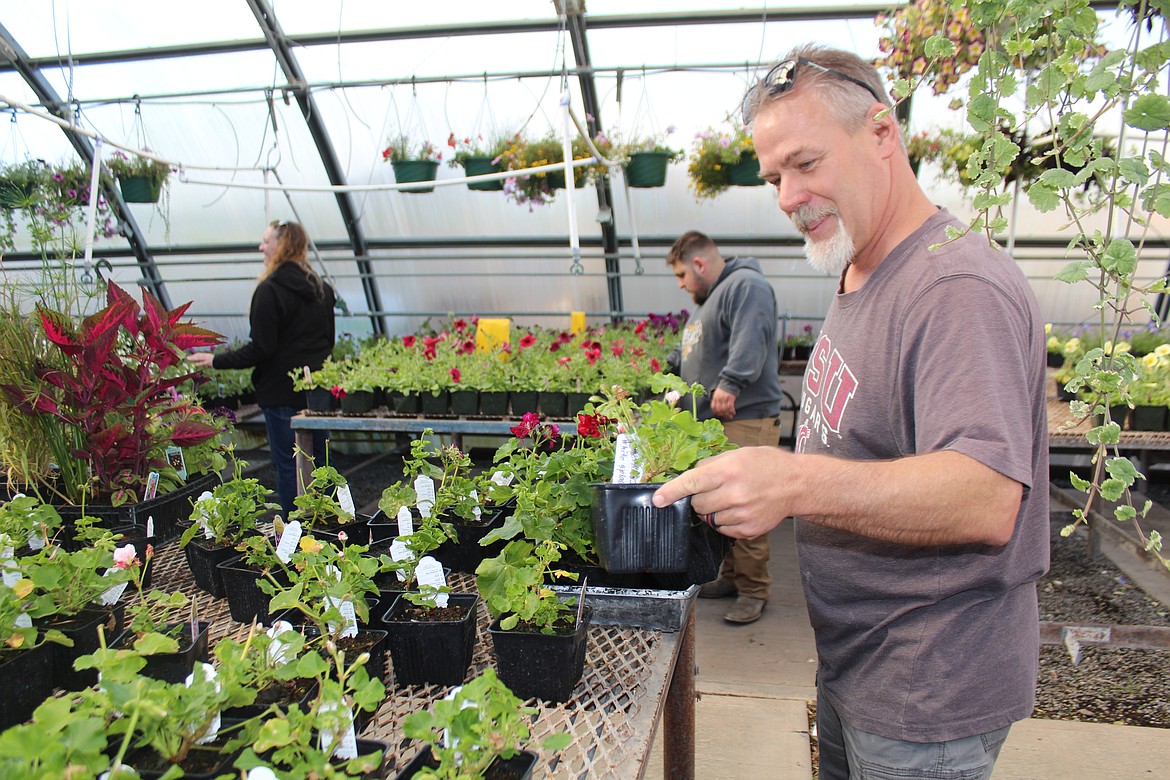 Brandon Pilot makes his selections at the Moses Lake High School FFA plant sale Friday.