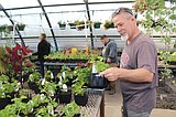 Moses Lake FFA plant sale does brisk business