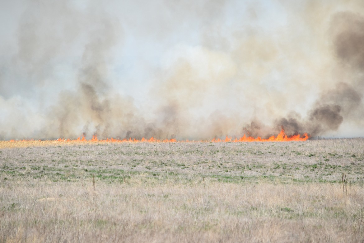 Fire from a planned burn consumes corn stubble on a field northeast of Moses Lake not far from the intersection of Road L NE and Road 5 NE.