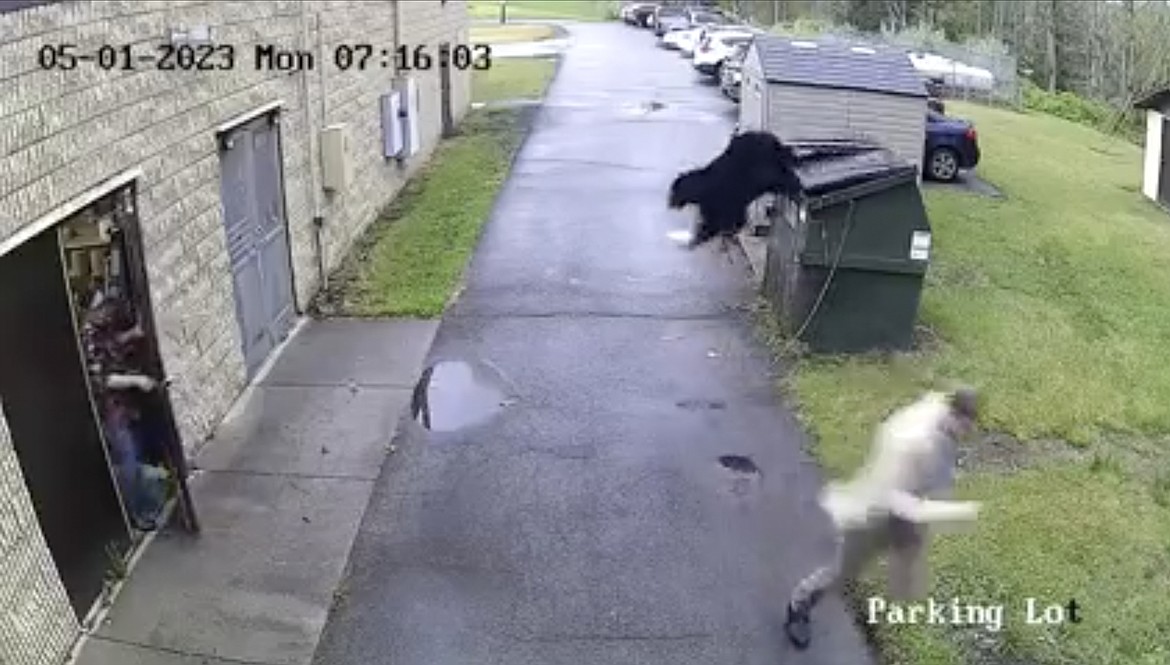 In this image from video provided by Nicholas County Schools, Zela Elementary School Principal James Marsh reacts after a black bear jumps out of a trash dumpster outside the school in Summersville, W. Va., on Monday, May 1, 2023. Marsh said the school had installed a lock to keep the bear out but over the weekend the bear was able to get back inside when Marsh came across it. (Nicholas County Schools via AP)