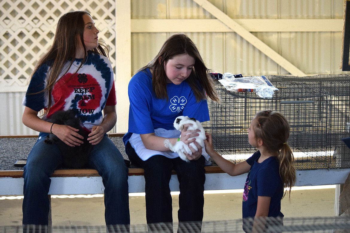 Participants in the 4-H rabbit show at the 2022 Grant County Fair wait their turns and allow a young fairgoer a chance to meet a rabbit up close.