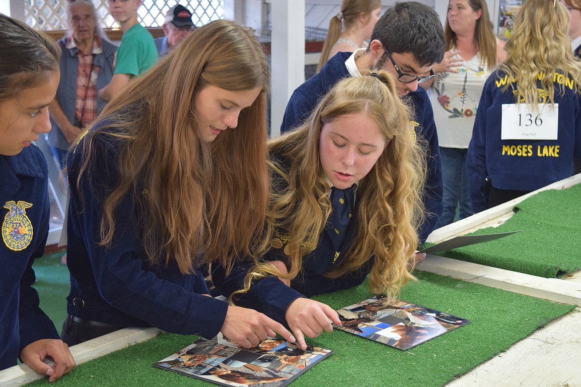 Medical Lake FFA advisor Jennie Wagner said FFA prepares participants to meet unexpected challenges – like the poultry show at the 2022 Grant County Fair, which was canceled. Poultry show participants, pictured, discuss which picture will show their birds to the best advantage.