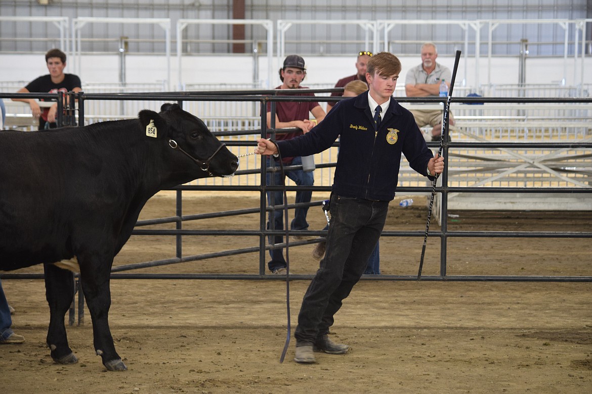 Brody Wallace, Quincy High School FFA, urges his reluctant steer during competition at the 2022 Grant County Fair.