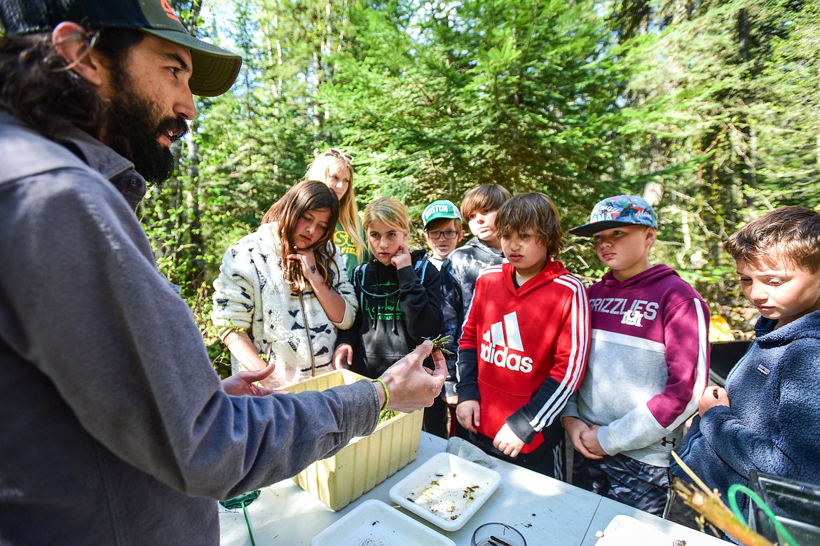 Fifth-graders in  teacher Taylor Hoots' class at Ruder Elementary School get a look at the eggs of a pregnant crayfish during a presentation by Montana FWP fisheries biologist Andrew Larson at the Family Forestry Expo at Trumbull Creek Educational Forest in Columbia Falls on Tuesday, May 9. (Casey Kreider/Daily Inter Lake)