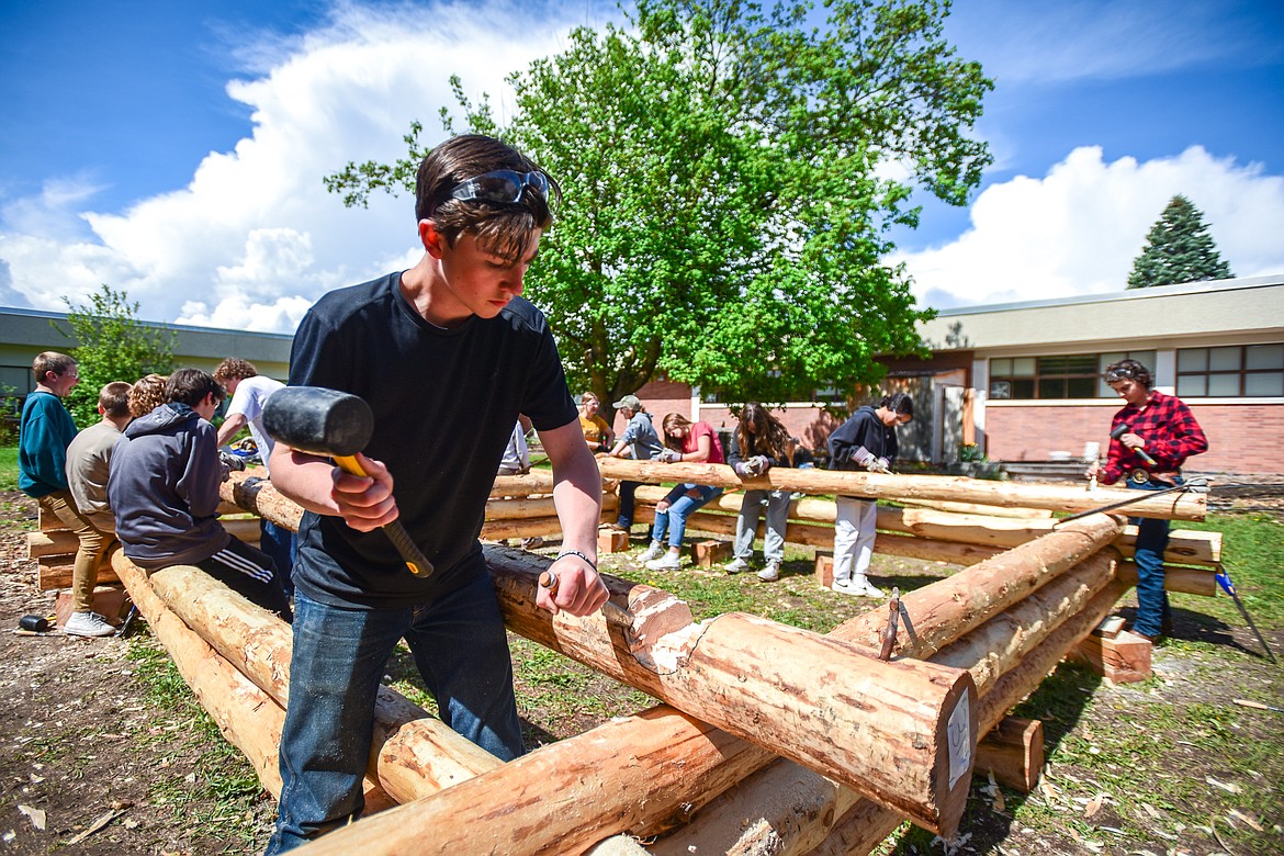 Kalispell Middle School student Barrett Barnes works with a mallet and wood chisel to cut a saddle notch for a log cabin build as part of teacher Kris Schreiner's eighth-grade history class on Tuesday, May 9. (Casey Kreider/Daily Inter Lake)