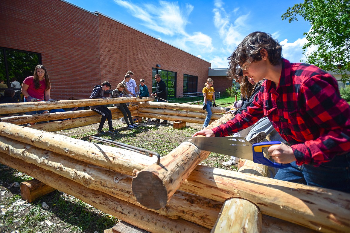Kalispell Middle School student Travis Koehler works with a hand saw to cut a saddle notch for a log cabin build as part of teacher Kris Schreiner's eighth-grade history class on Tuesday, May 9. (Casey Kreider/Daily Inter Lake)