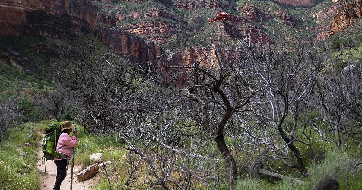 Havasupai Tribe in Arizona marks a spiritual homecoming: 'We are still the Grand Canyon' - Vimarsana News