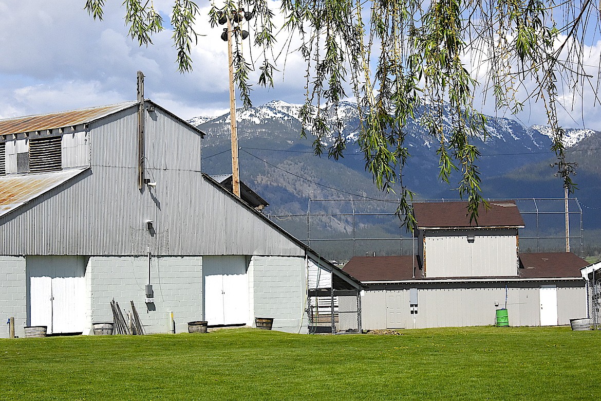 Commissioners create new department to manage Ronan fairgrounds Lake